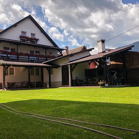 Pensiunea Aliart Zărneşti エクステリア 写真