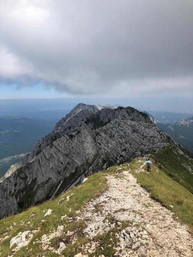 Pensiunea Aliart Zărneşti エクステリア 写真