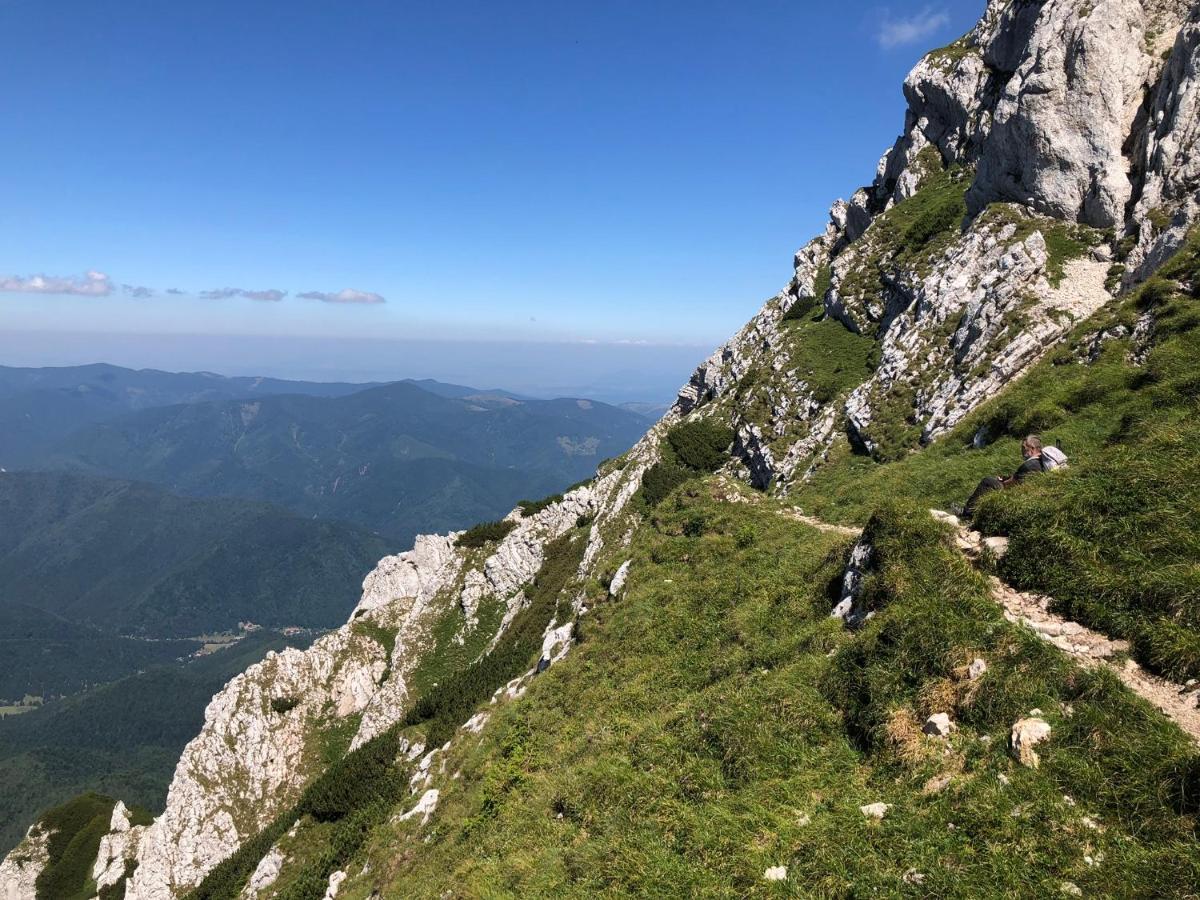 Pensiunea Aliart Zărneşti エクステリア 写真